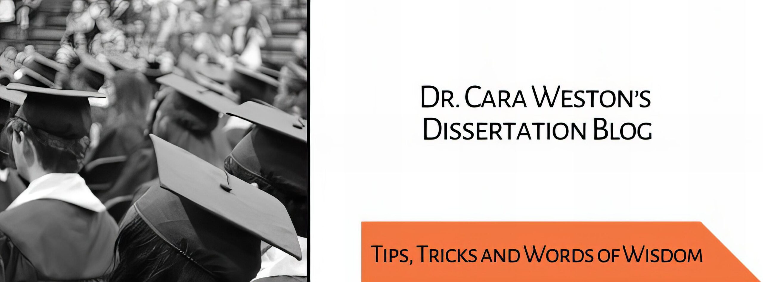 dissertation coach dr. cara weston blog